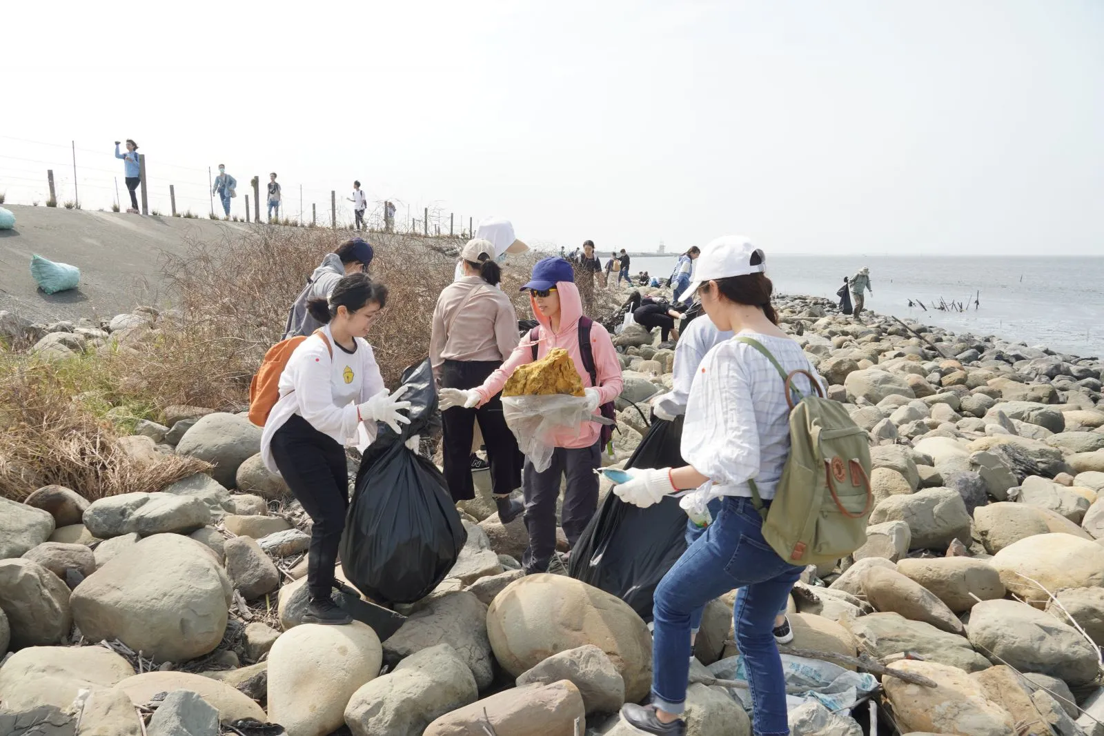 此圖詳細說明請見以下文字區塊。