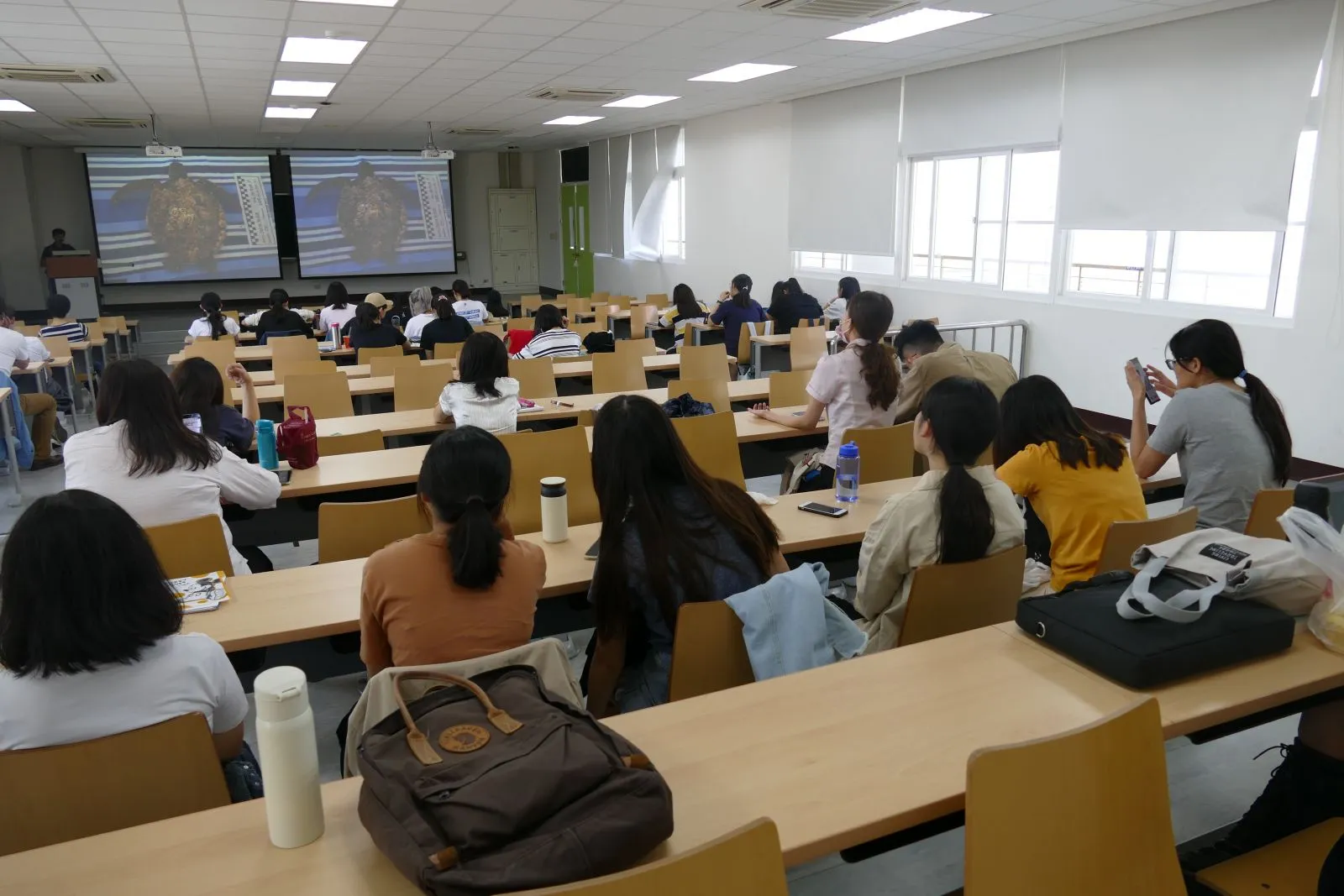 此圖詳細說明請見以下文字區塊。